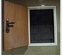Service Shaft door - pageShort 20170704 234424212 11 1